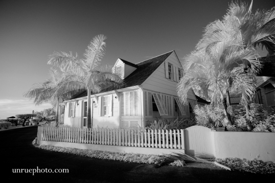 infrared_photography_5
